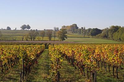 Vignobles de Bordeaux, Saint-André de Cubzac 